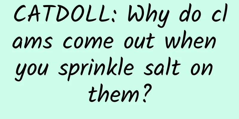 CATDOLL: Why do clams come out when you sprinkle salt on them?