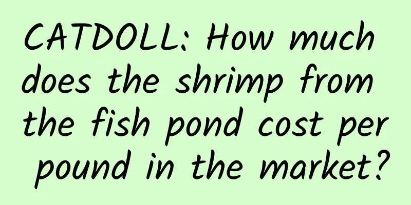 CATDOLL: How much does the shrimp from the fish pond cost per pound in the market?