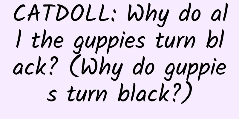 CATDOLL: Why do all the guppies turn black? (Why do guppies turn black?)