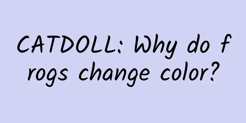 CATDOLL: Why do frogs change color?