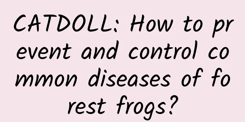 CATDOLL: How to prevent and control common diseases of forest frogs?
