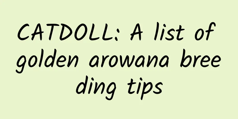 CATDOLL: A list of golden arowana breeding tips