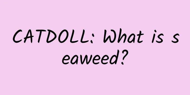 CATDOLL: What is seaweed?