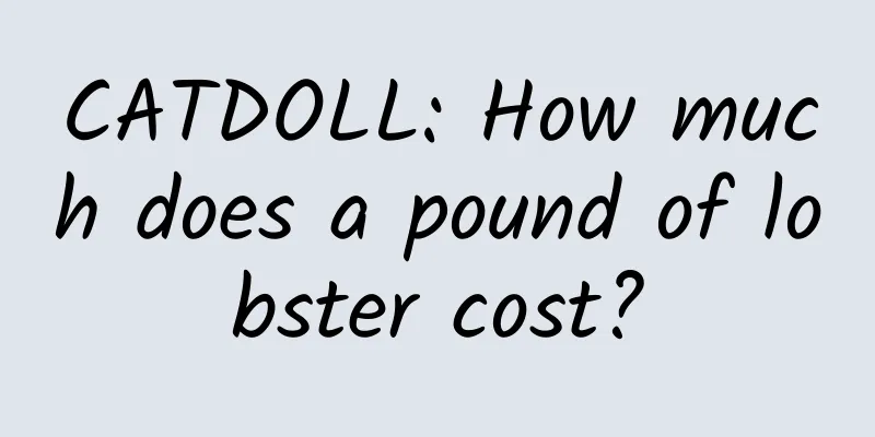 CATDOLL: How much does a pound of lobster cost?