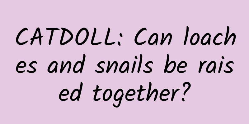 CATDOLL: Can loaches and snails be raised together?