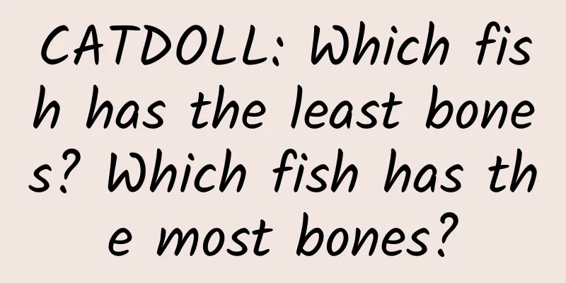 CATDOLL: Which fish has the least bones? Which fish has the most bones?