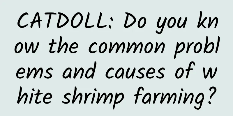 CATDOLL: Do you know the common problems and causes of white shrimp farming?