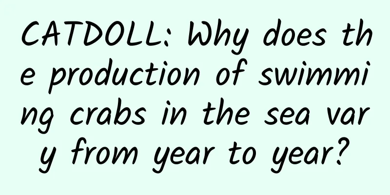 CATDOLL: Why does the production of swimming crabs in the sea vary from year to year?