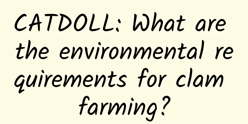 CATDOLL: What are the environmental requirements for clam farming?