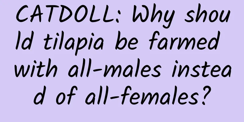 CATDOLL: Why should tilapia be farmed with all-males instead of all-females?