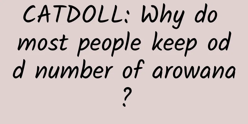 CATDOLL: Why do most people keep odd number of arowana?