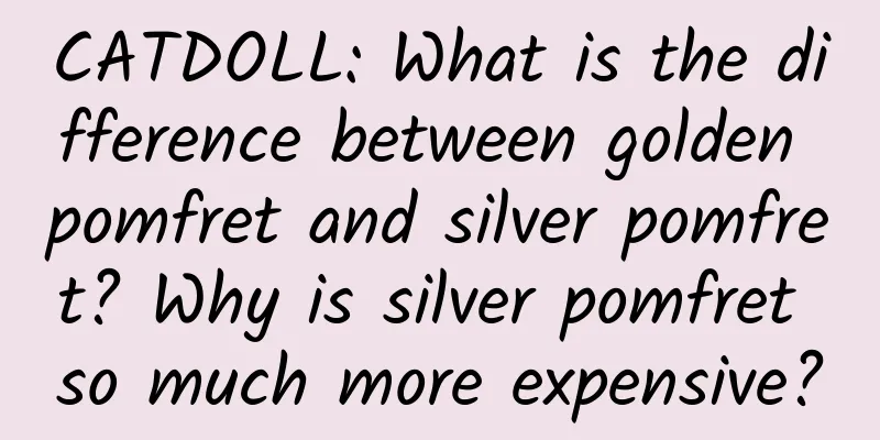 CATDOLL: What is the difference between golden pomfret and silver pomfret? Why is silver pomfret so much more expensive?