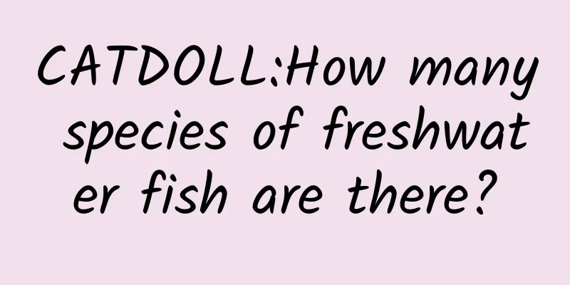 CATDOLL:How many species of freshwater fish are there?