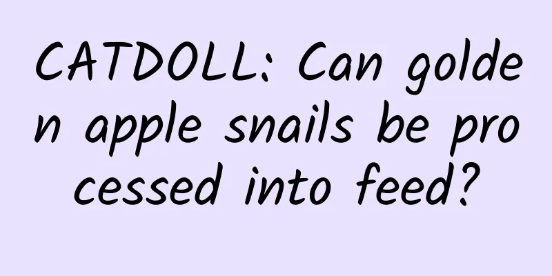 CATDOLL: Can golden apple snails be processed into feed?