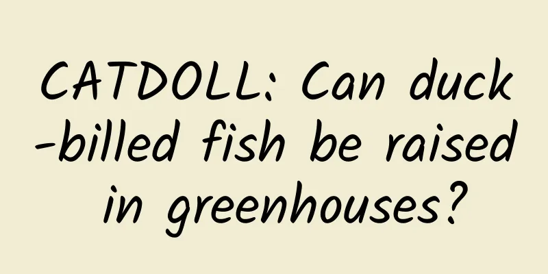 CATDOLL: Can duck-billed fish be raised in greenhouses?