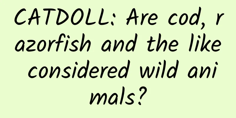 CATDOLL: Are cod, razorfish and the like considered wild animals?