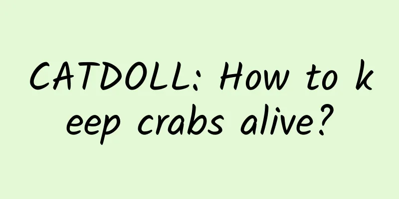 CATDOLL: How to keep crabs alive?