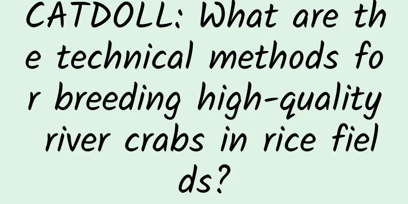 CATDOLL: What are the technical methods for breeding high-quality river crabs in rice fields?