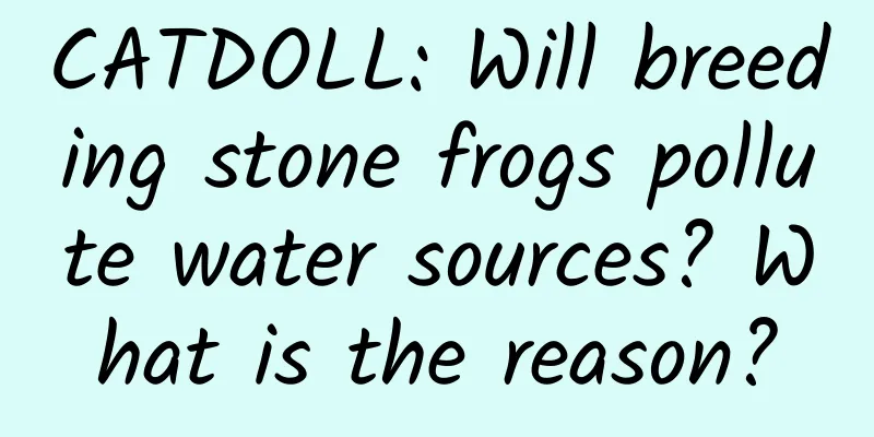 CATDOLL: Will breeding stone frogs pollute water sources? What is the reason?