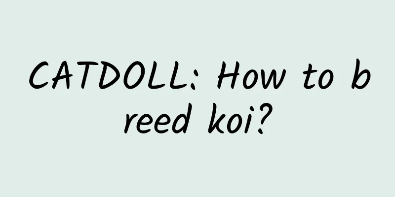 CATDOLL: How to breed koi?