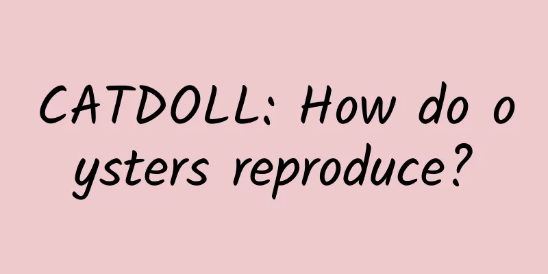 CATDOLL: How do oysters reproduce?