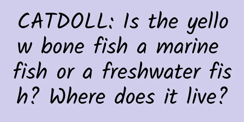CATDOLL: Is the yellow bone fish a marine fish or a freshwater fish? Where does it live?