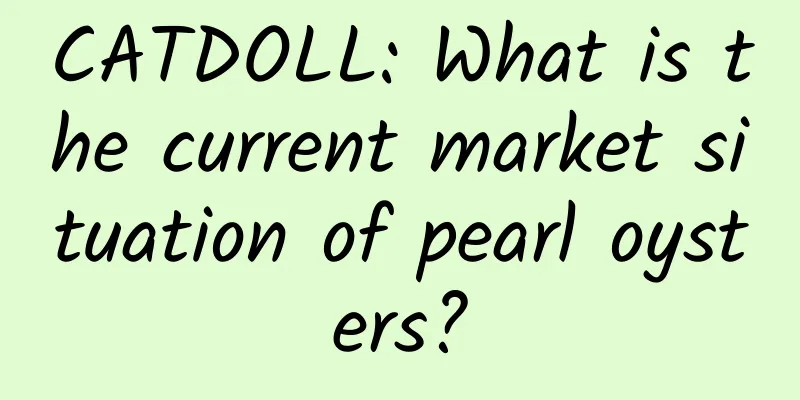 CATDOLL: What is the current market situation of pearl oysters?