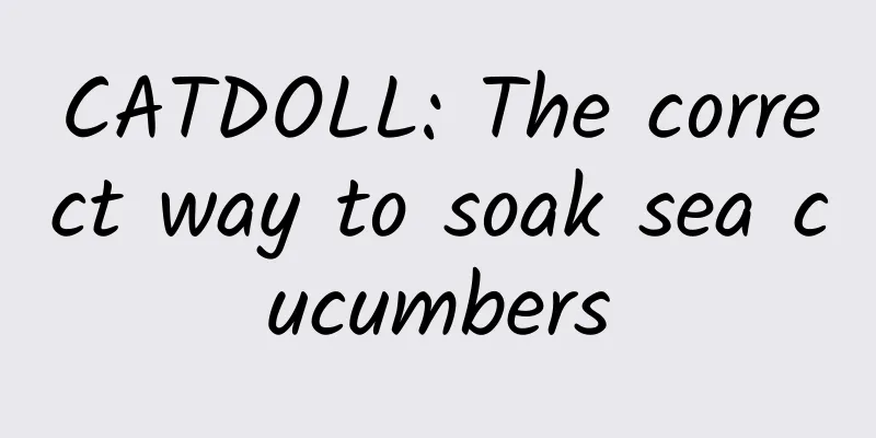 CATDOLL: The correct way to soak sea cucumbers