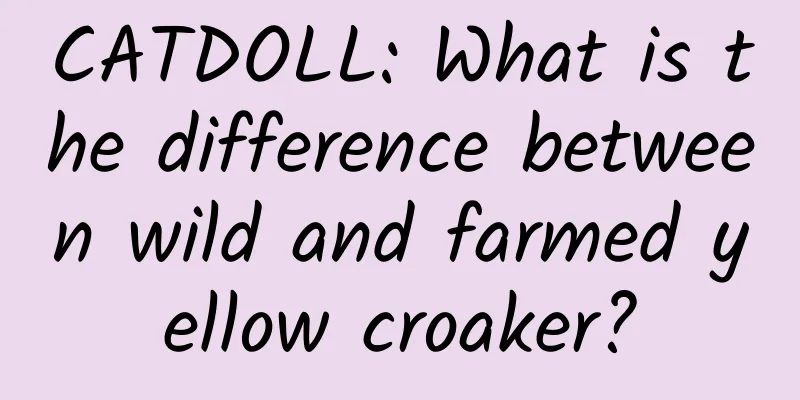 CATDOLL: What is the difference between wild and farmed yellow croaker?