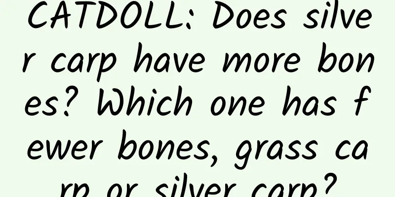 CATDOLL: Does silver carp have more bones? Which one has fewer bones, grass carp or silver carp?