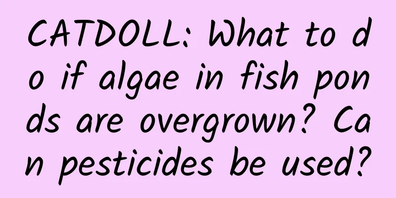 CATDOLL: What to do if algae in fish ponds are overgrown? Can pesticides be used?