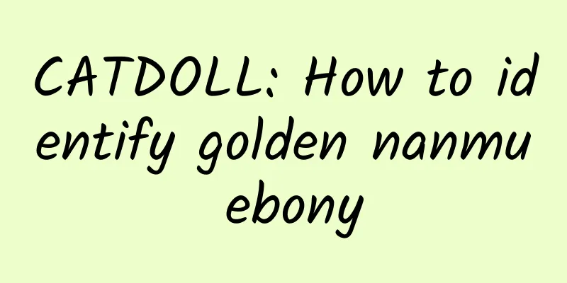 CATDOLL: How to identify golden nanmu ebony