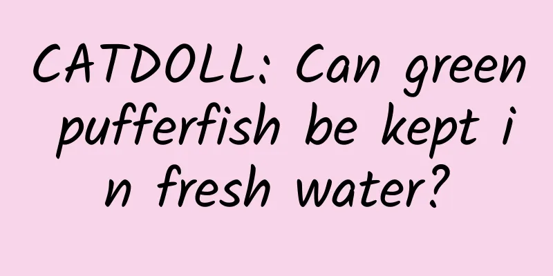CATDOLL: Can green pufferfish be kept in fresh water?