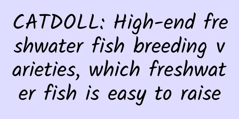 CATDOLL: High-end freshwater fish breeding varieties, which freshwater fish is easy to raise