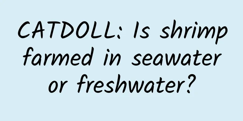 CATDOLL: Is shrimp farmed in seawater or freshwater?
