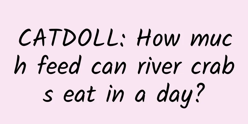 CATDOLL: How much feed can river crabs eat in a day?