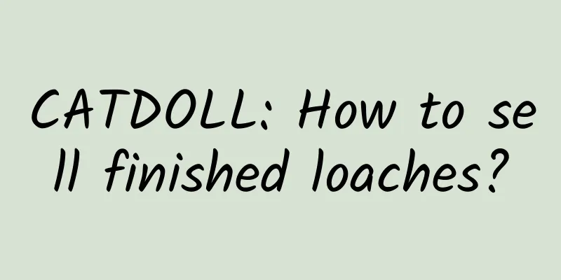 CATDOLL: How to sell finished loaches?