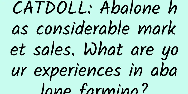 CATDOLL: Abalone has considerable market sales. What are your experiences in abalone farming?