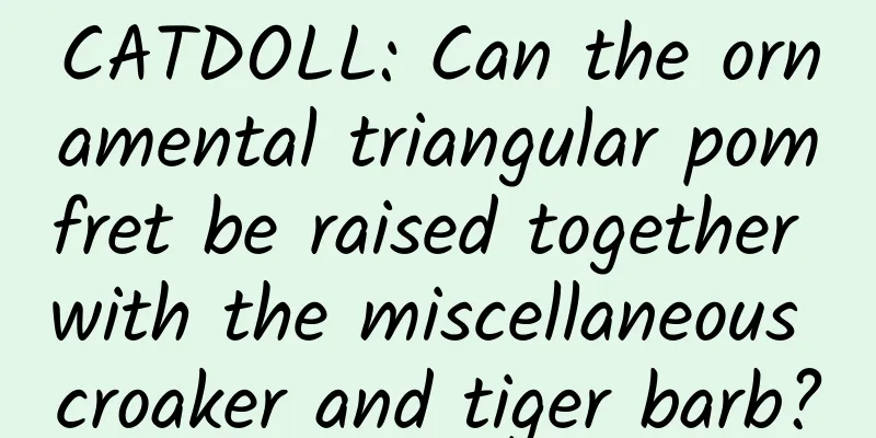 CATDOLL: Can the ornamental triangular pomfret be raised together with the miscellaneous croaker and tiger barb?