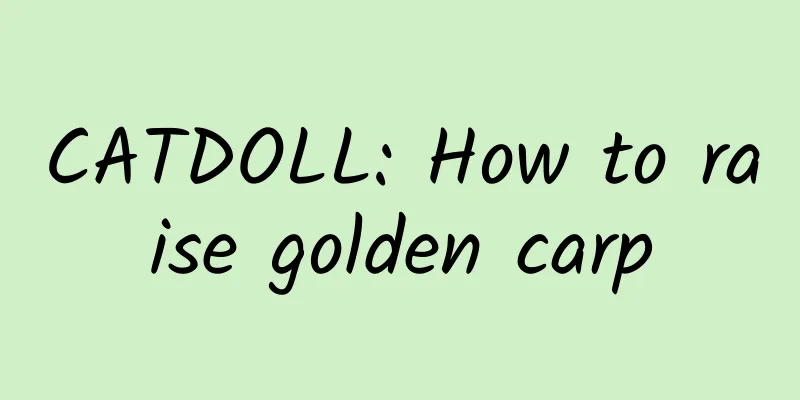 CATDOLL: How to raise golden carp