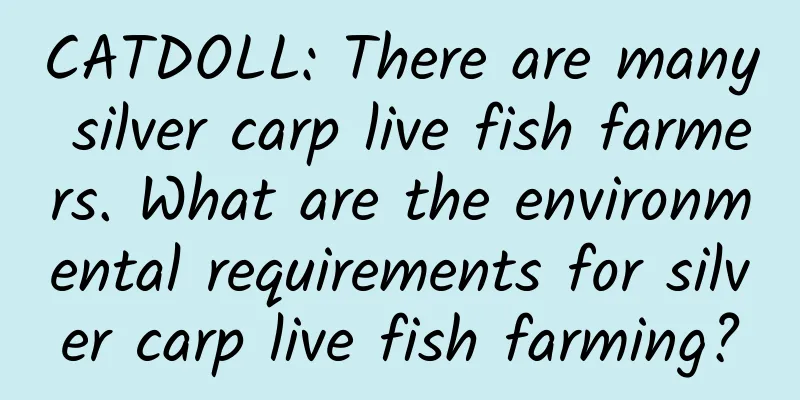 CATDOLL: There are many silver carp live fish farmers. What are the environmental requirements for silver carp live fish farming?