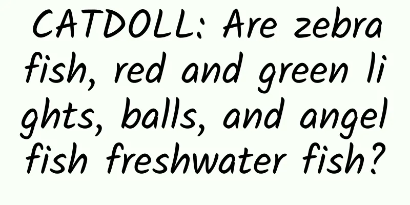 CATDOLL: Are zebrafish, red and green lights, balls, and angelfish freshwater fish?