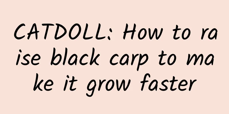 CATDOLL: How to raise black carp to make it grow faster