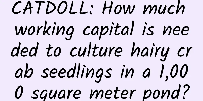 CATDOLL: How much working capital is needed to culture hairy crab seedlings in a 1,000 square meter pond?