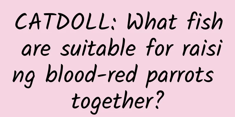 CATDOLL: What fish are suitable for raising blood-red parrots together?