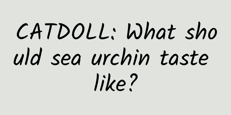 CATDOLL: What should sea urchin taste like?