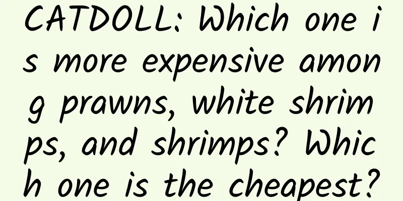 CATDOLL: Which one is more expensive among prawns, white shrimps, and shrimps? Which one is the cheapest?