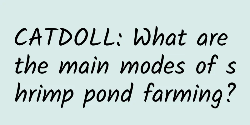 CATDOLL: What are the main modes of shrimp pond farming?