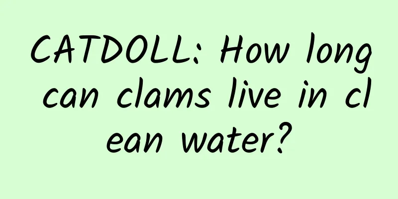 CATDOLL: How long can clams live in clean water?
