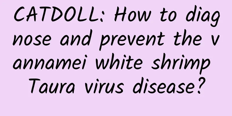 CATDOLL: How to diagnose and prevent the vannamei white shrimp Taura virus disease?